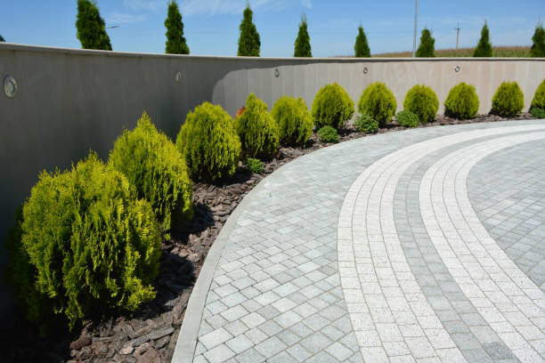 Best Commercial Driveway Pavers  in Jacksboro, TX